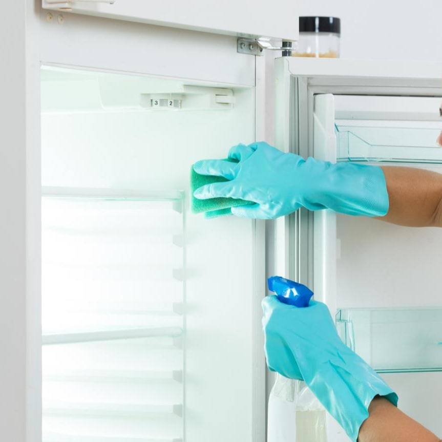 Средства для чистки холодильника: как правильно отмыть внутри от желтизны