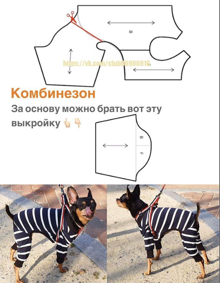 Одежда для собак своими руками - выкройки для маленьких пород с фото и видео, схема вязания