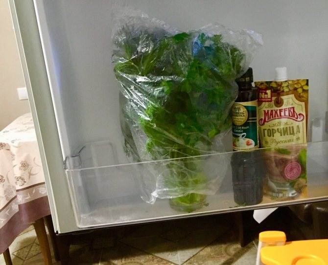 Как правильно хранить зелень в холодильнике