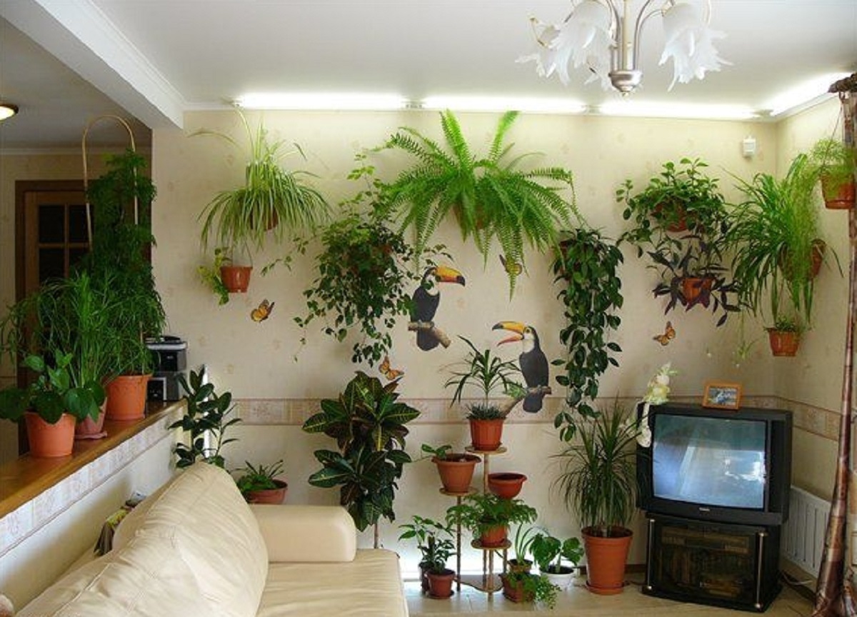Комнатные растения размещение. Комнатные растения. Цветы в квартире. Цветы в интерьере квартиры. Комнатные цветы в Интер.