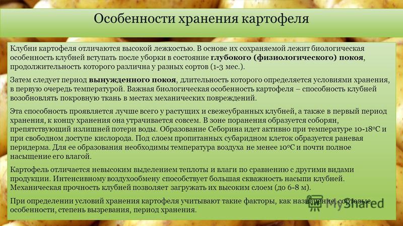 Образом должно осуществляться хранение картофеля и корнеплодов. Периоды хранения картофеля. Особенности хранения картофеля. Технология хранения картофеля. Презентация технология хранения картофеля.