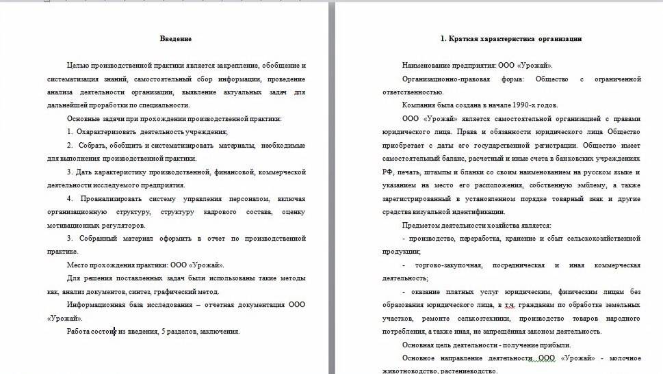 Отчет по учебной практике