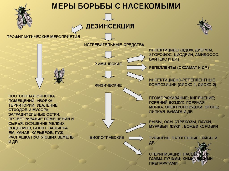 Борьба с переносчиками заболеваний