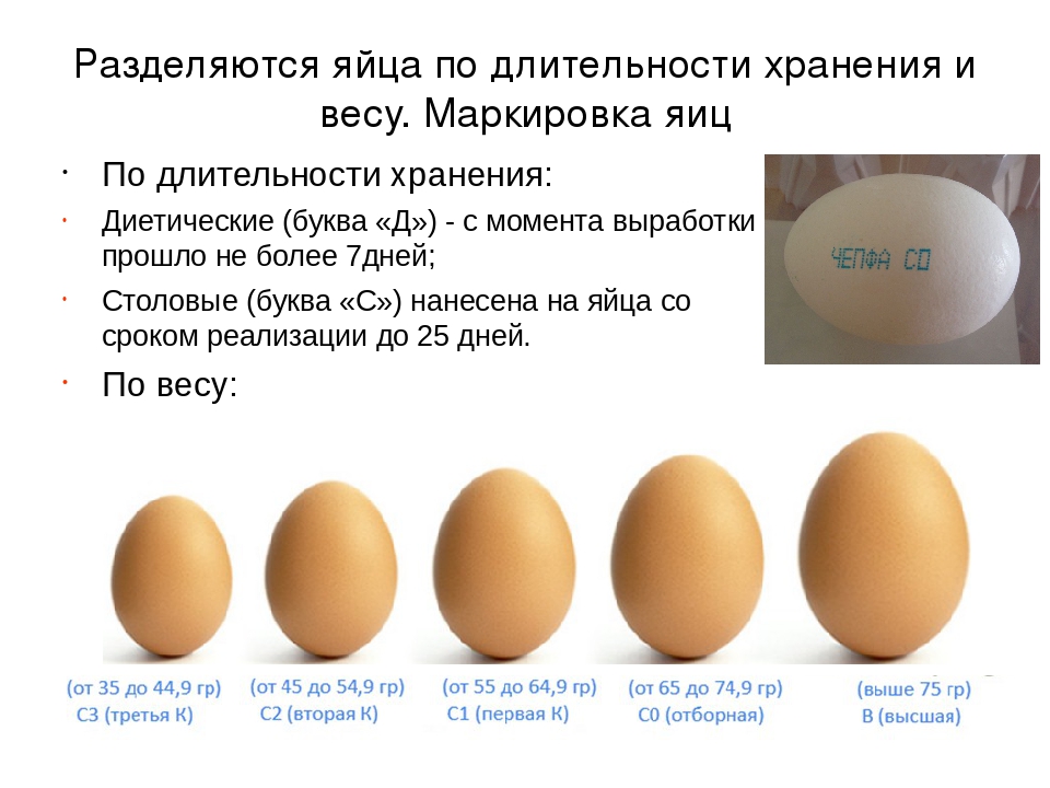 Сколько могут храниться сырые яйца в холодильнике, способы и сроки, как продлить