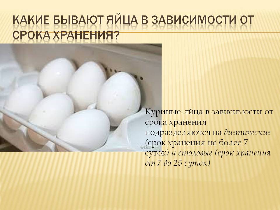 Как правильно хранить куриные яйца и можно ли их перед этим мыть