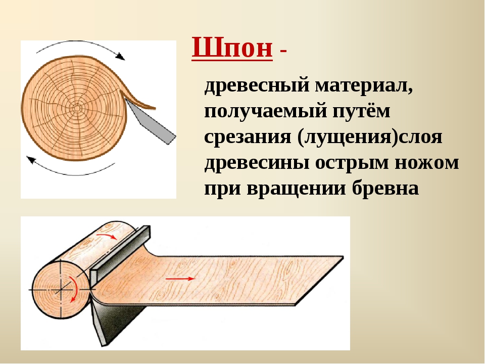 Виды шпона рисунок