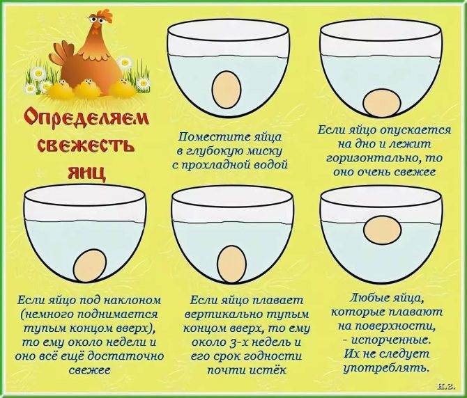 Отравление яйцами (тухлыми, сырыми): симптомы и лечение