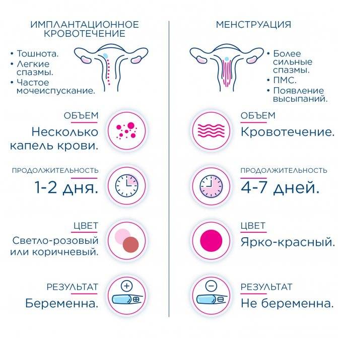 Норма менструации и причины нарушений | университетская клиника