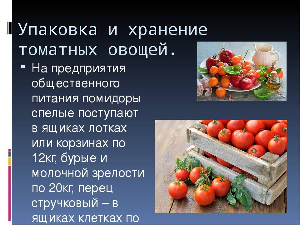 Как хранить помидоры: сорта, условия, методы хранения дома