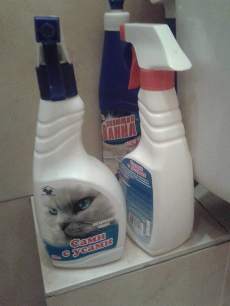 ᐉ как отмыть старую грязь с кошачьего лотка подручными средствами - zoovet24.ru