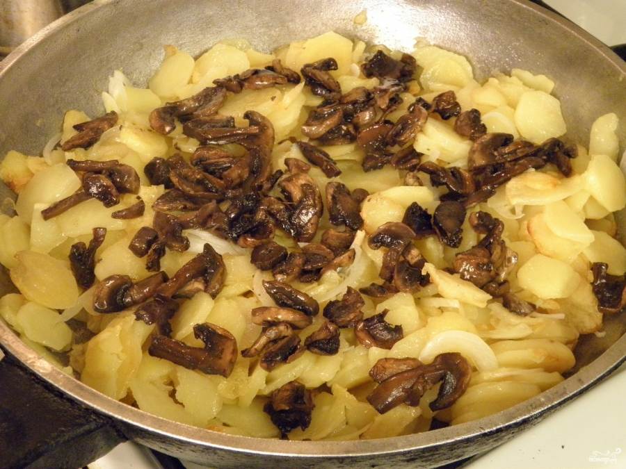 Картошка с шампиньонами, жареная на сковороде: рецепты, как приготовить вкусные грибные блюда