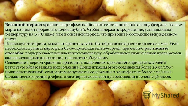 Способы хранения очищенного картофеля