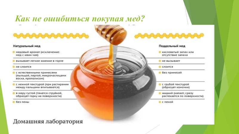 Как можно проверить мед на натуральность и определить его качество в домашних условиях: несколько проверенных способов