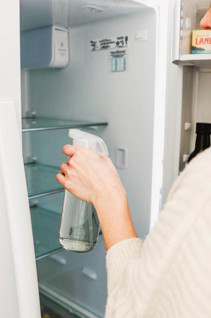 Плесень в холодильнике: как избавиться, убрать загрязнение с резинки прибора и удалить навсегда