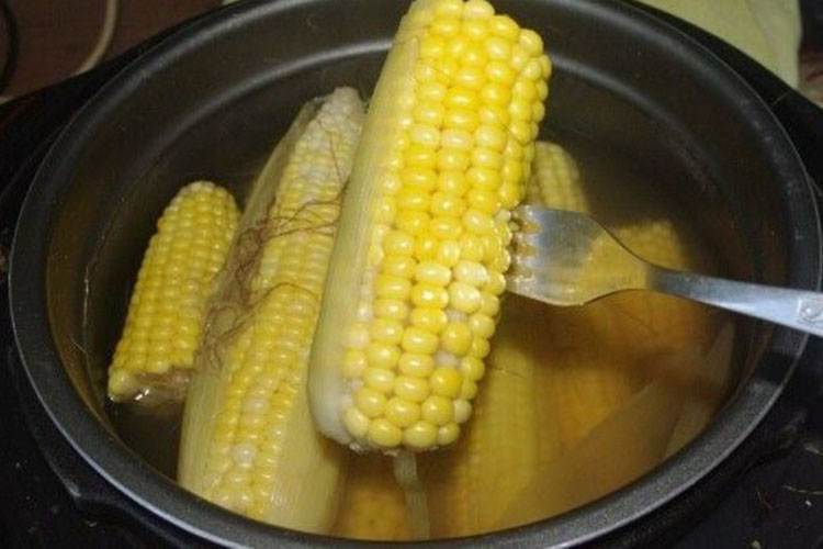 Как вкусно приготовить кукурузу в початках и сколько нужно её варить: простые пошаговые рецепты с фото