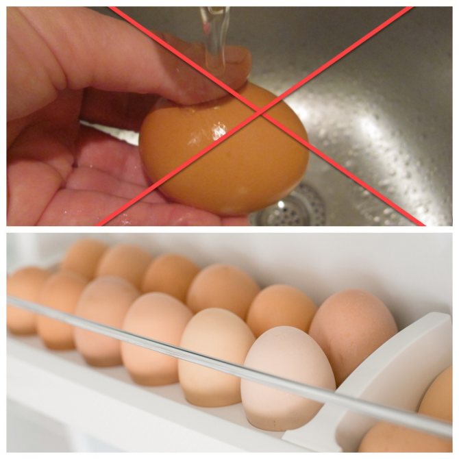 Мыть ли яйца перед укладкой на хранение