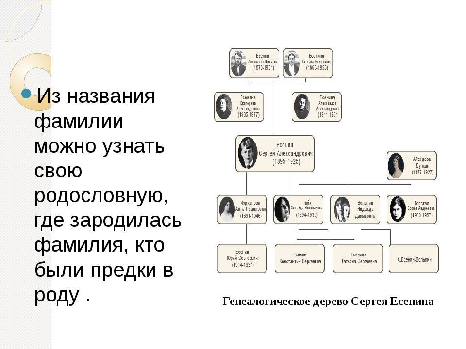 Кто были твои предки по фамилии. Древо Есенина. Генеалогическое Древо Есенина Сергея. Есенин родословная потомки. Родословную по фамилии.