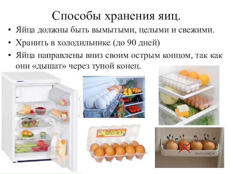 Сколько хранится разбитое сырое яйцо в холодильнике — сколько хранится, что делать, чем опасно
