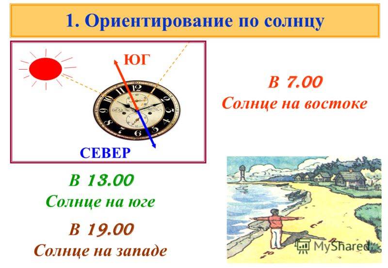 Определите по картинке с какой стороны находится солнце