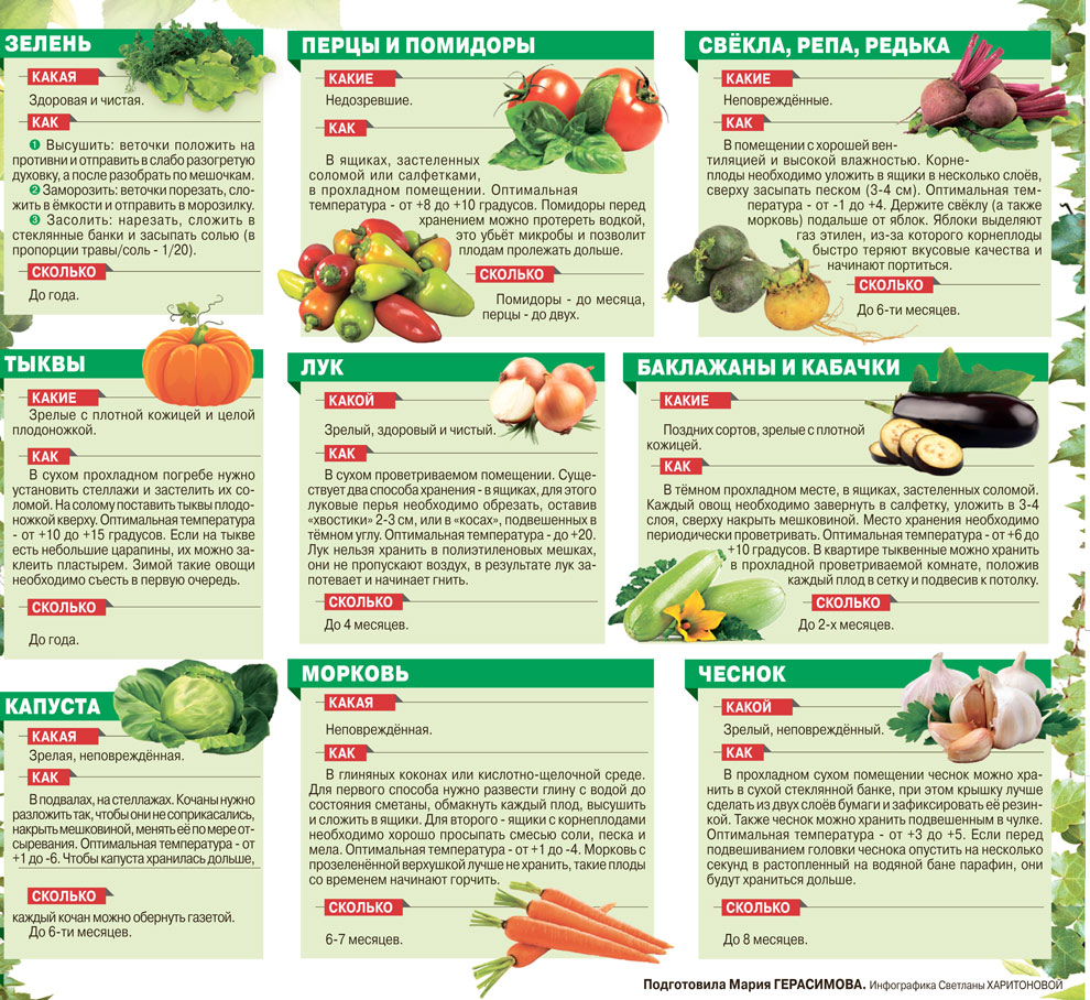 Как хранить овощи и зелень – 5 общих принципов и памятка по 45 видам