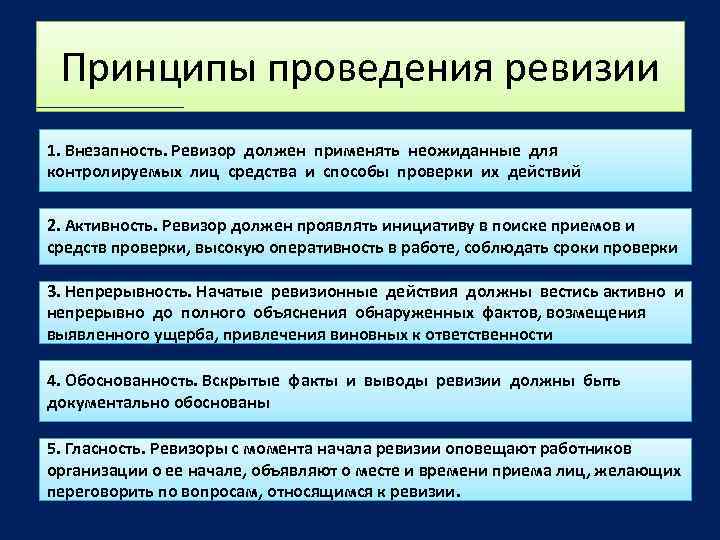 В плане ревизии в отличие от программы есть