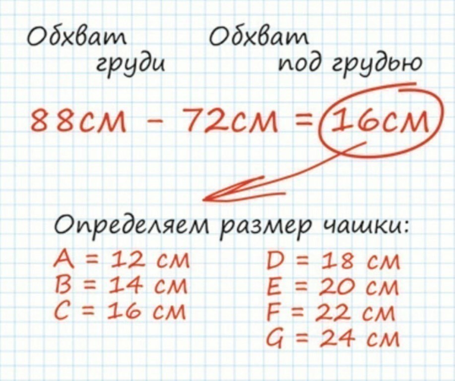 Как определить размер бюстгальтера: таблица размеров