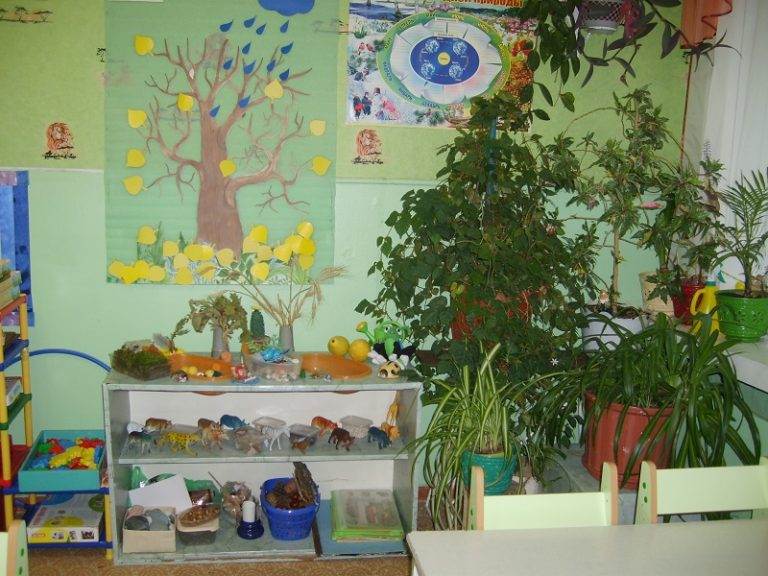Уголок природы в младшей группе детского сада: оформление по фгос, основные цели и задачи