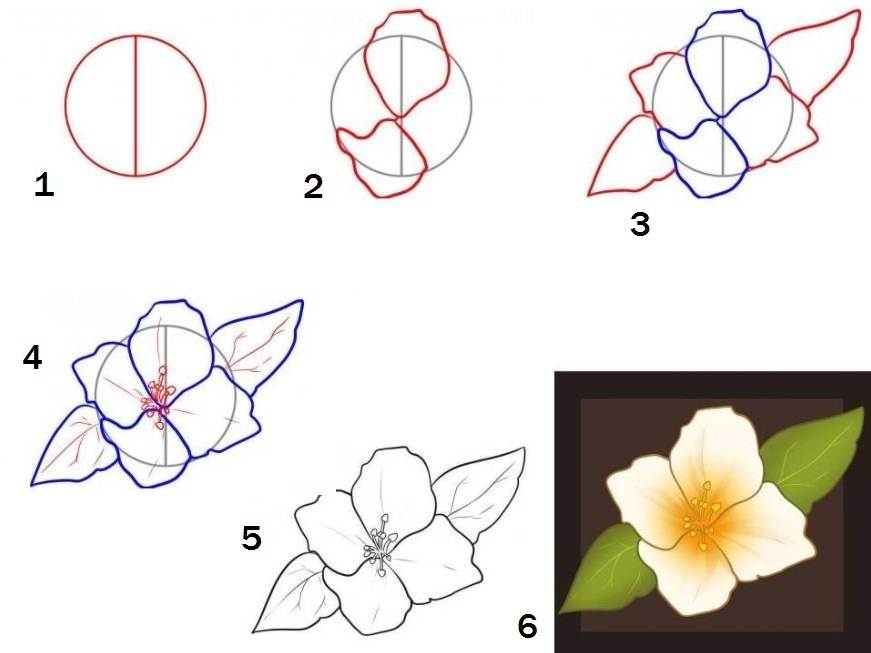 Рисунки цветов для срисовки (70 фото)