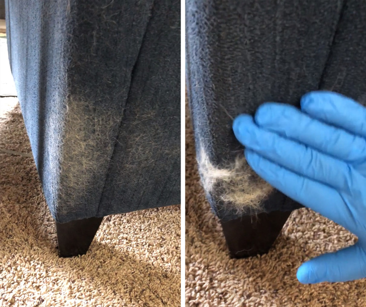 Как очистить ковер от шерсти животных: поверхностная и глубокая чистка