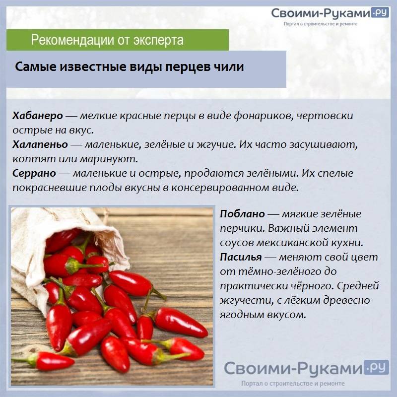 Как хранить болгарский перец в домашних условиях