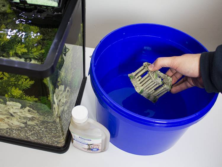 Чистка аквариума: алгоритм и переодичность уборки