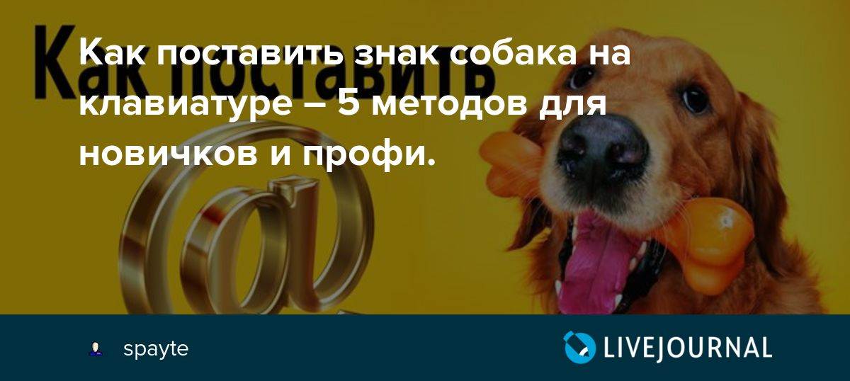 ✅ как набрать знак «собака» на клавиатуре?! - wind7activation.ru