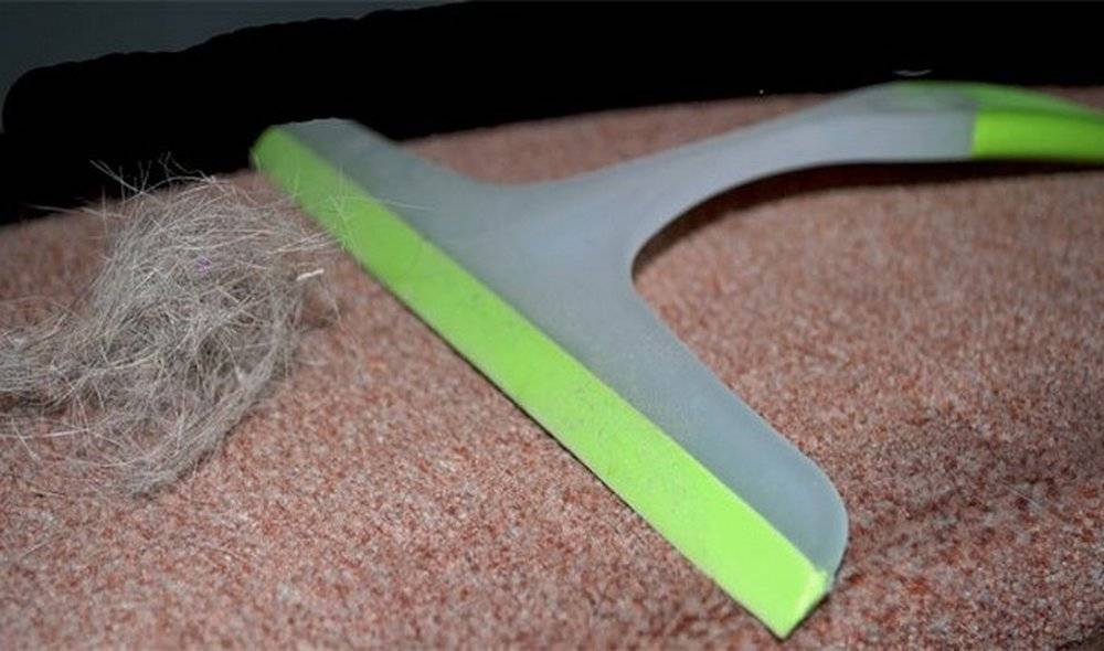 5 способов убрать шерсть домашних животных с мебели и ковров