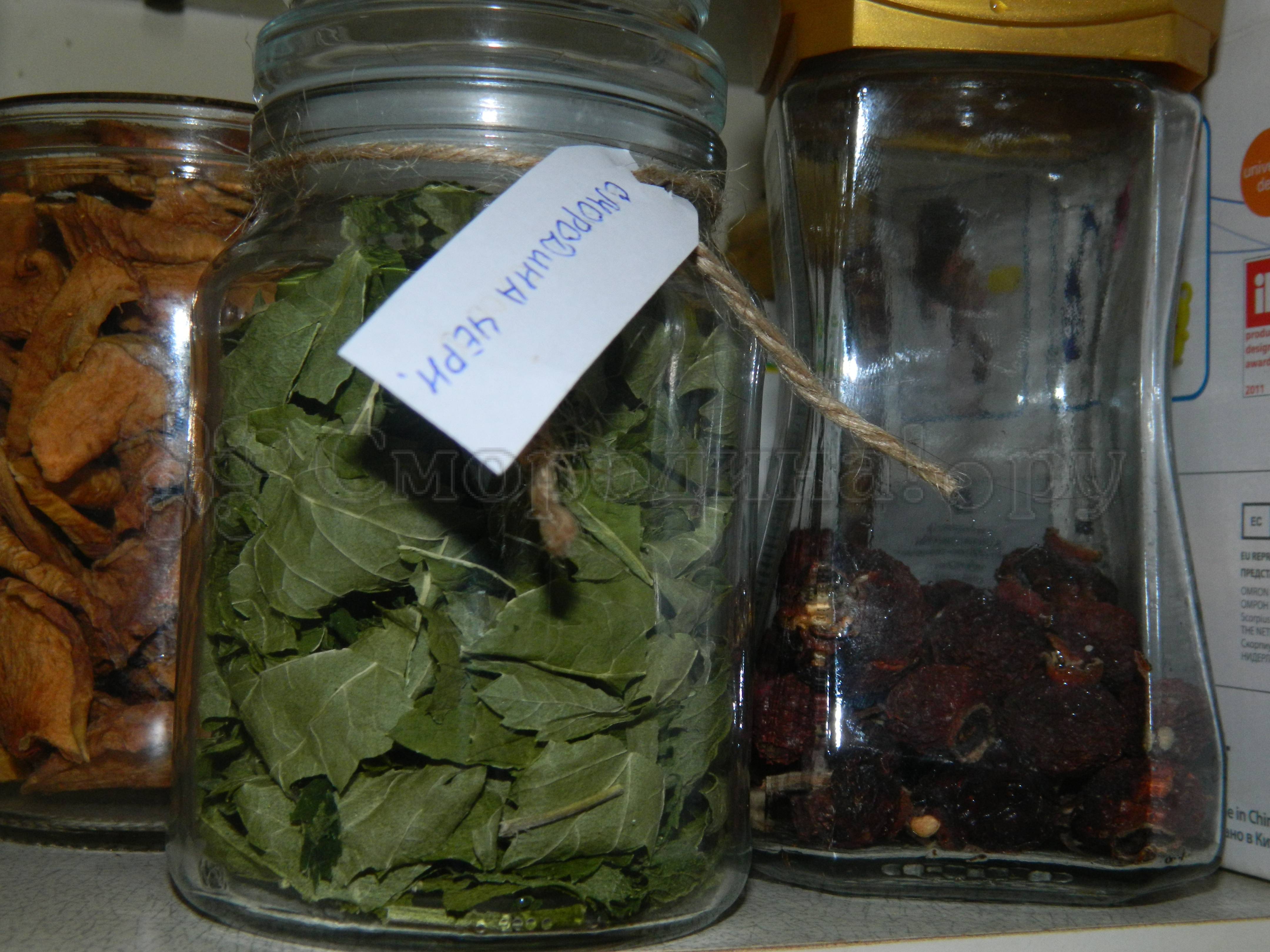 Как заготавливают листья смородины и малины на чай