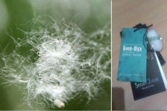 Утеплитель dupont sorona - что это?