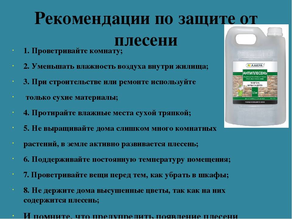 Как почистить плитку в ванной от плесени, фото / уксус и сода против грибка на поверхности, видео