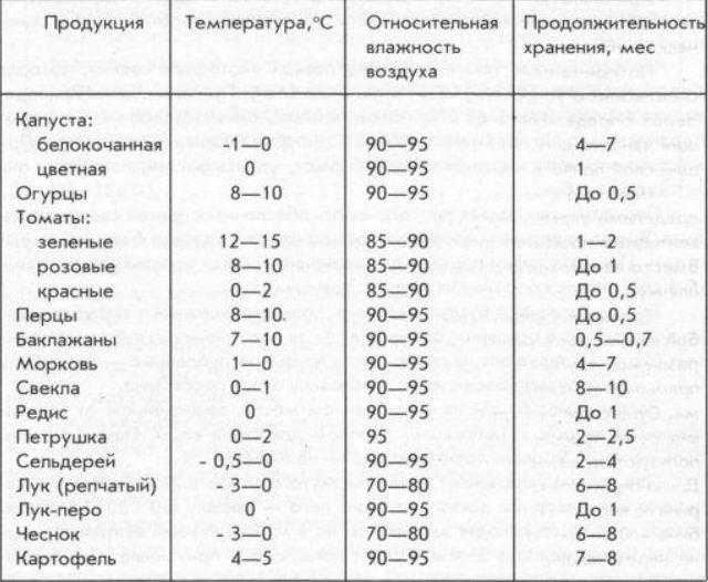 Как правильно и где хранить свеклу и морковь зимой: способы хранения в квартире и погребе