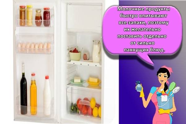 Простые способы уничтожения запаха в холодильнике