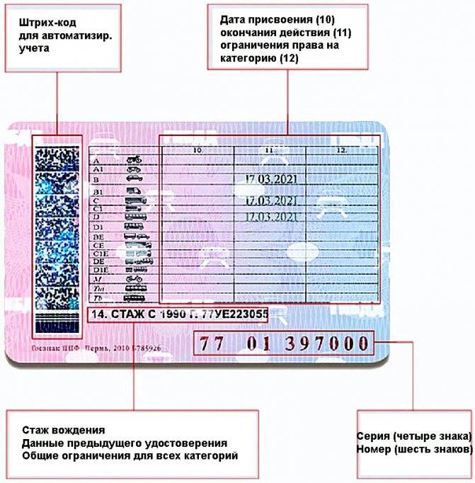 Замена прав на российские при получении гражданства рф 2020