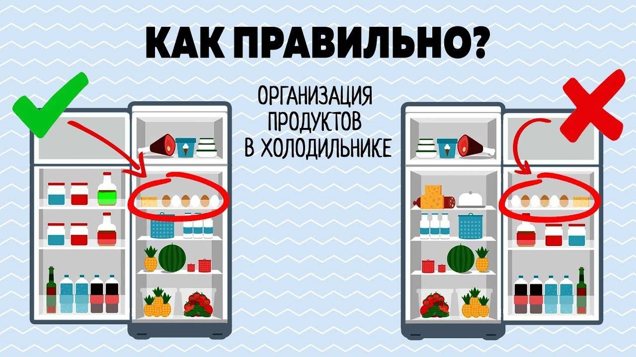 Как в холодильнике правильно хранить продукты – советы по размещению и правила соседства