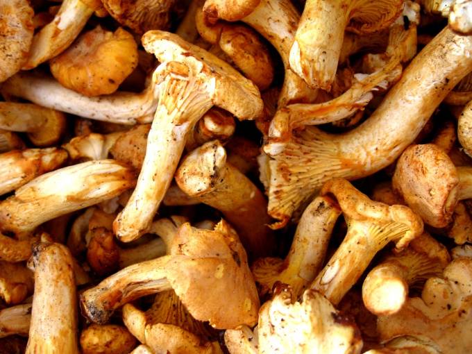 Жареная картошка с белыми грибами замороженными