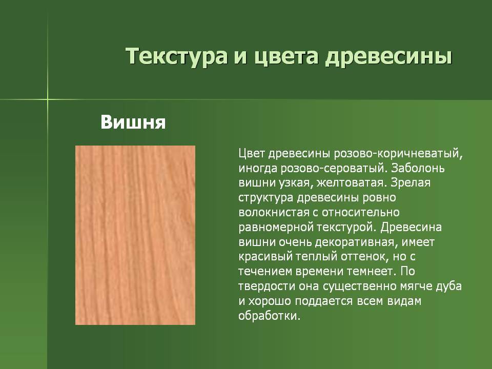 Состав дерева. Технология обработки изделий из древесины. Свойства древесины цвет. Презентация на тему древесина. Структура изделий из древесины.