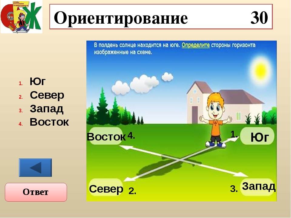 Рассмотрите картинку и определите где находится восток