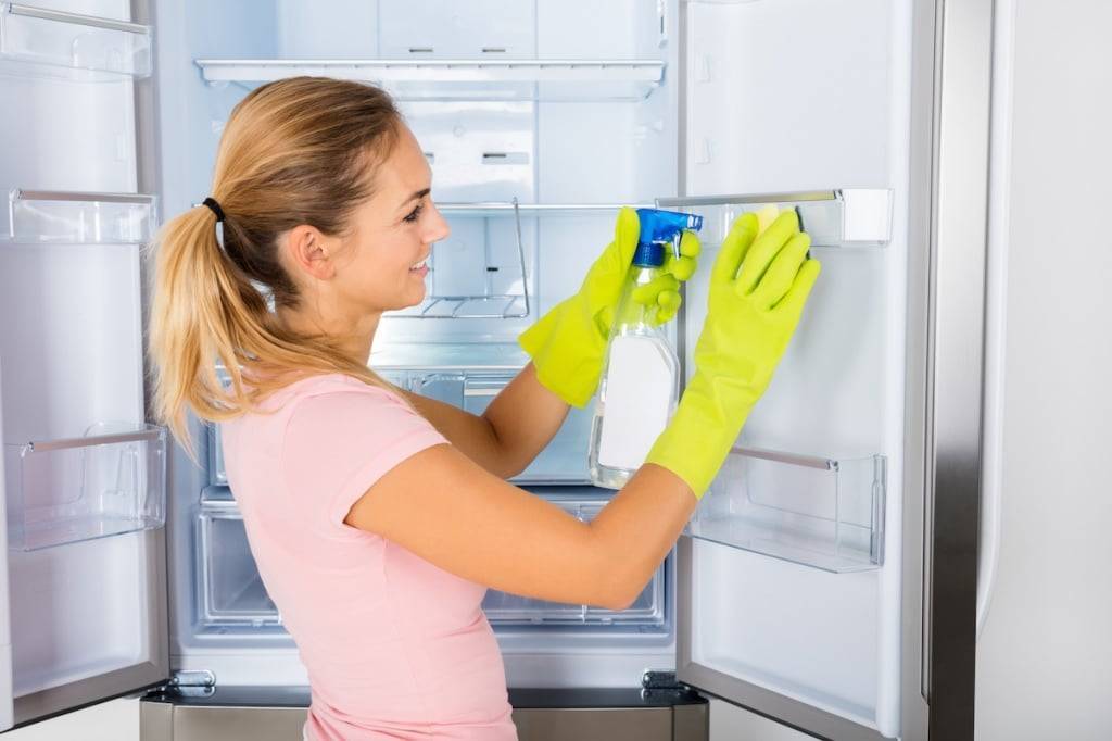Чем помыть холодильник внутри, чтобы уничтожить запах