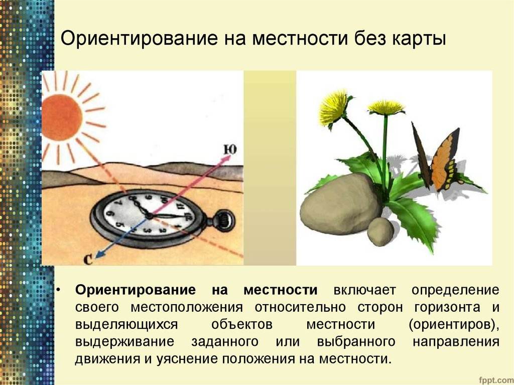 Определение сторон света рисунок