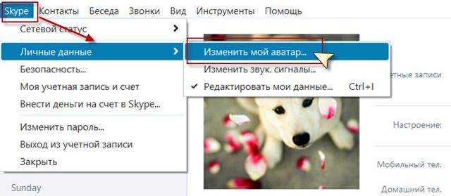 Как установить новую аватарку (фотографию профиля) "вконтакте"