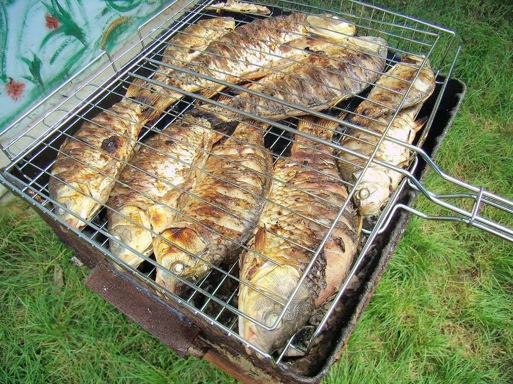 Шашлык из рыбы на мангале. какую рыбу выбрать и как приготовить шашлык из рыбы