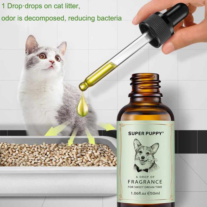 Как убрать запах кошачьей мочи с дивана - 13 рецептов вывести и устранить запах в домашних условиях