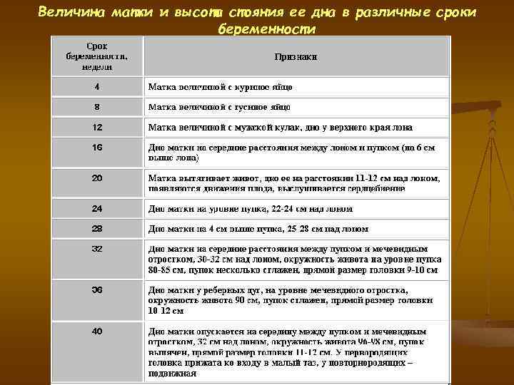 Высота стояния дна матки по неделям беременности таблица норма 59 фото - wForm.r