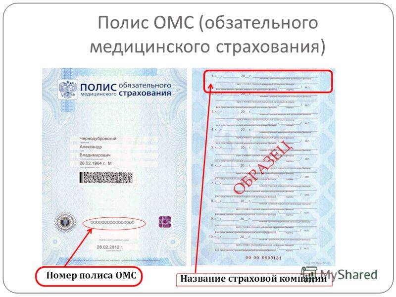 Проверить полис омс по номеру